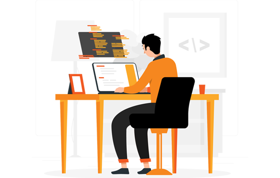 Custom Software Development - Duple IT Solutions